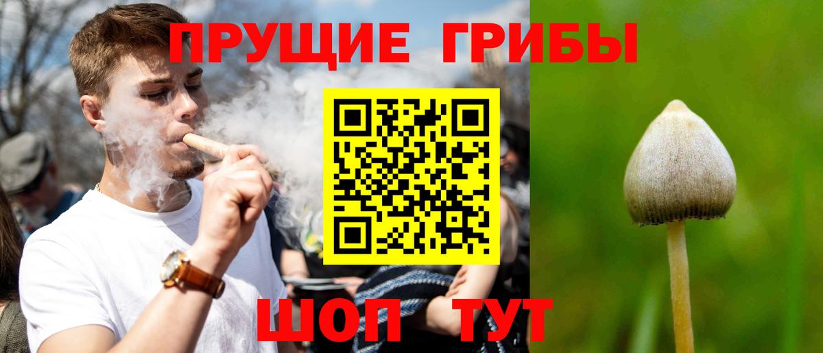 Галлюциногенные грибы мицелий  где купить   Ишимбай  Вход с VPN 